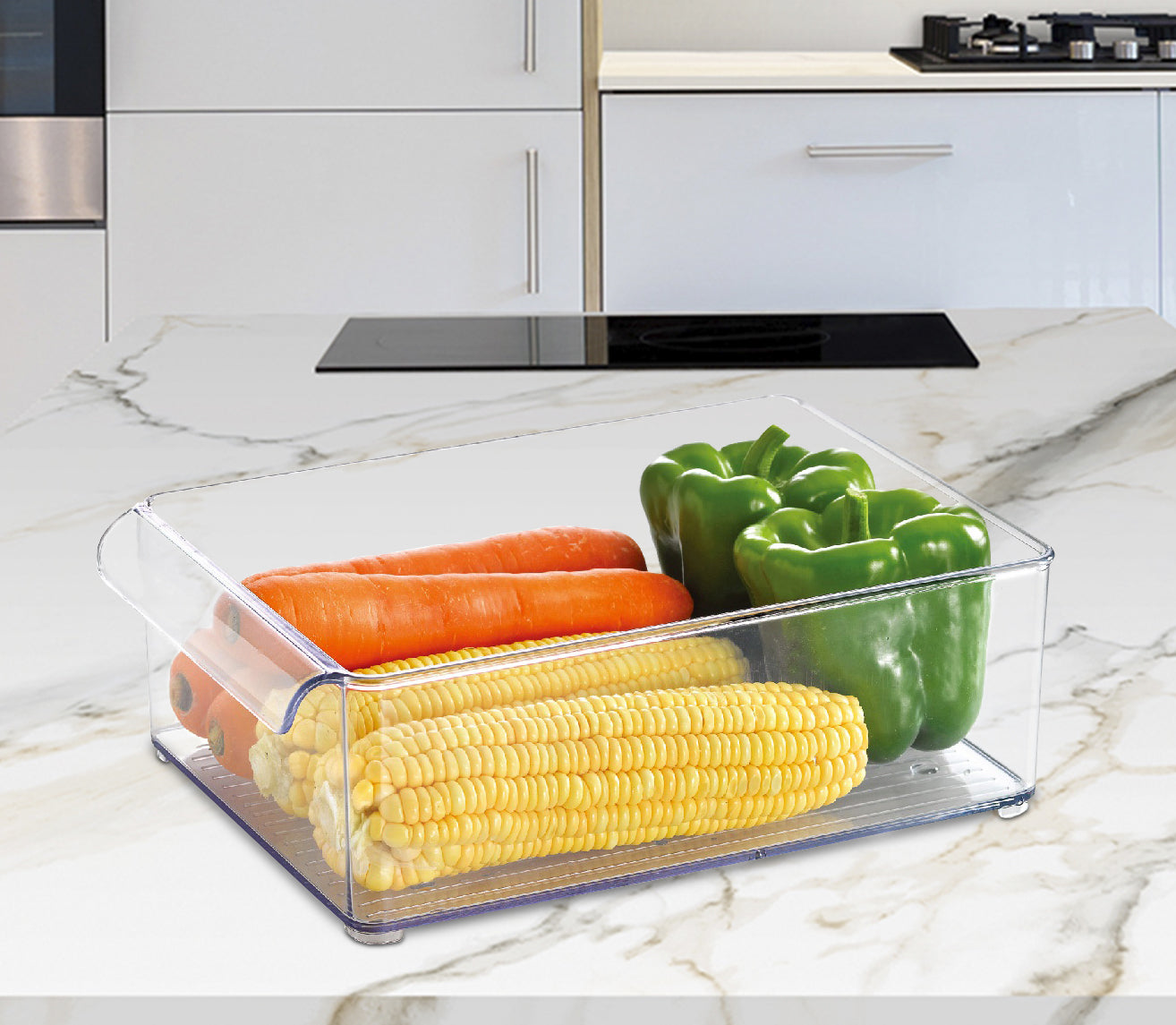 Organizador de frigorífico Rectangular